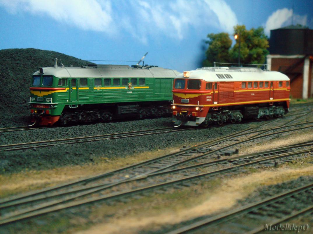 DSC07368