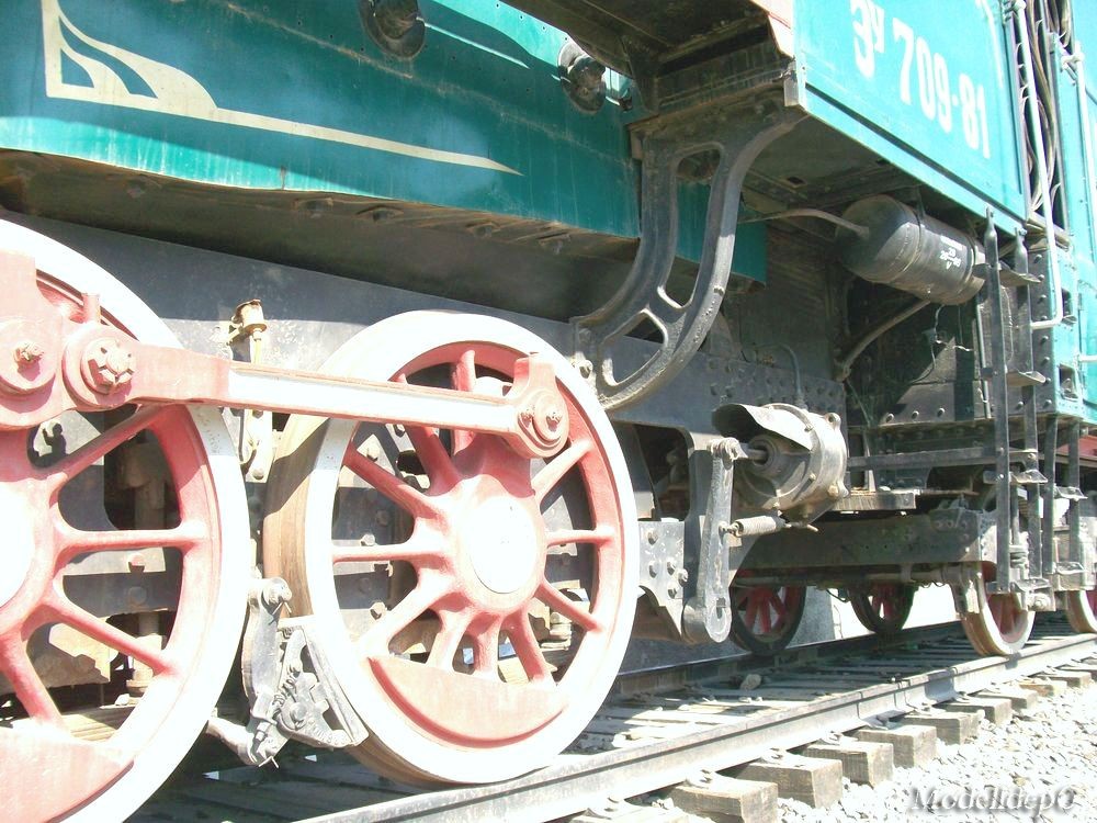 709-81