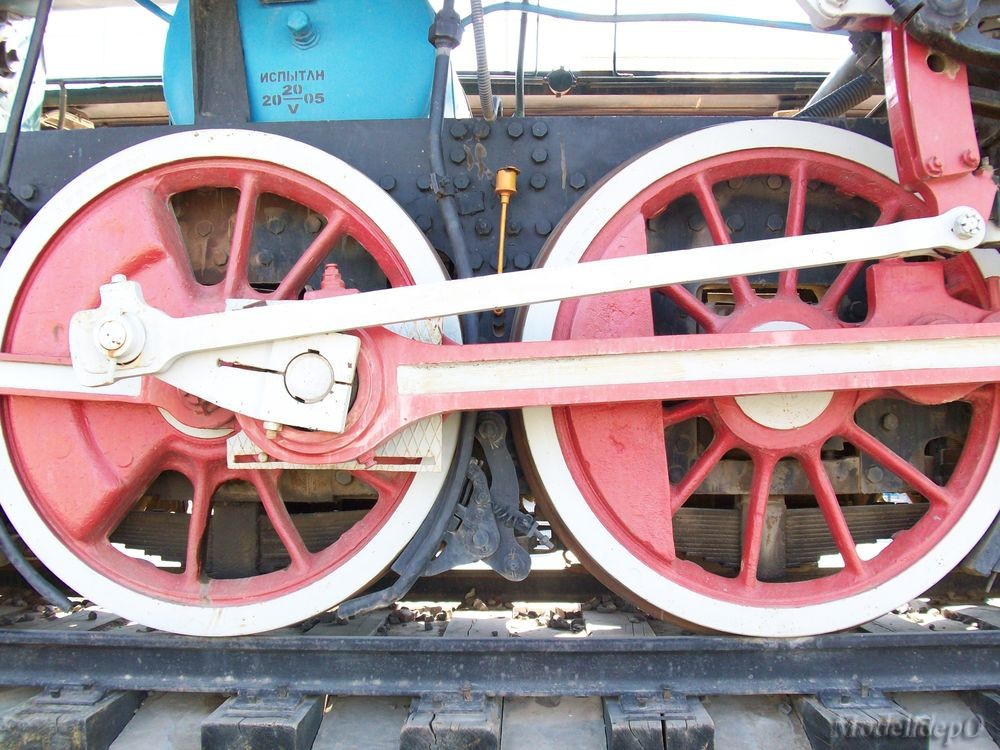  709-81