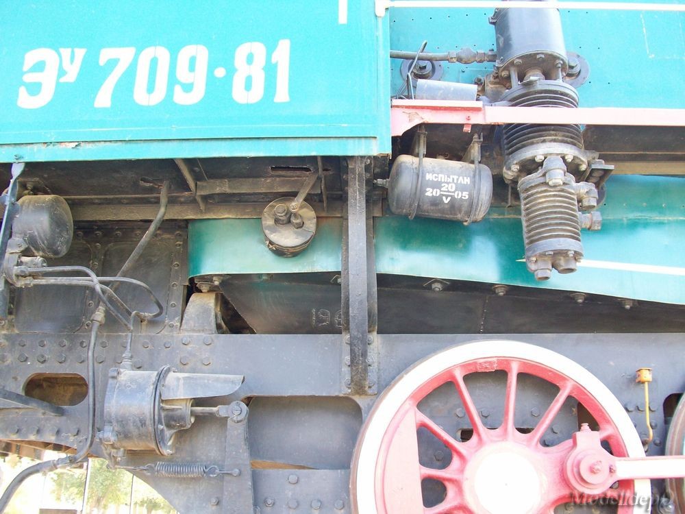  709-81