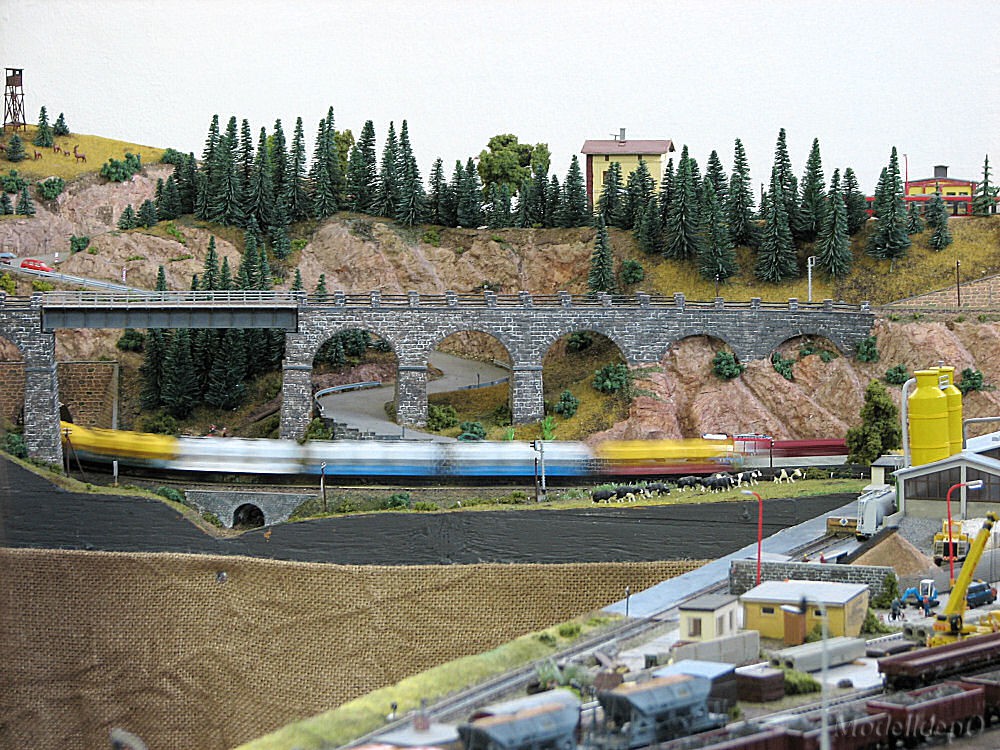 fot50