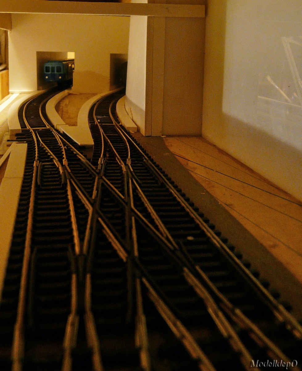 P0000037_resize
