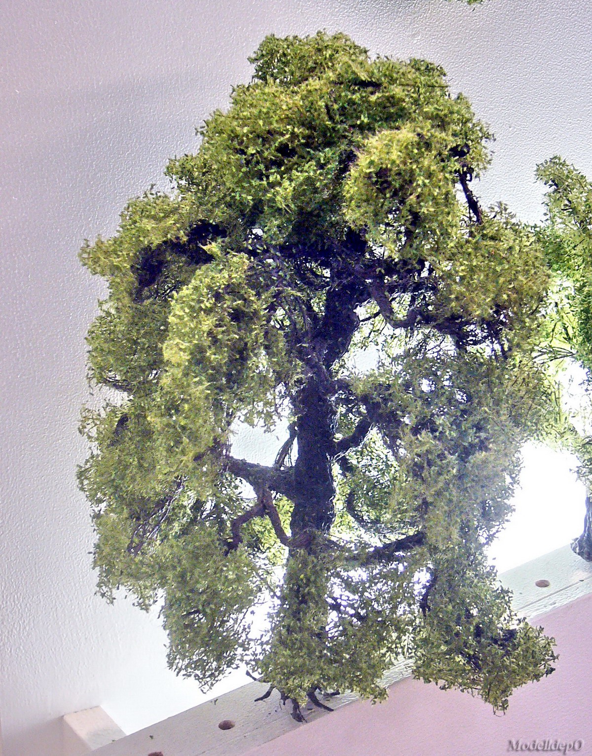 P10207011