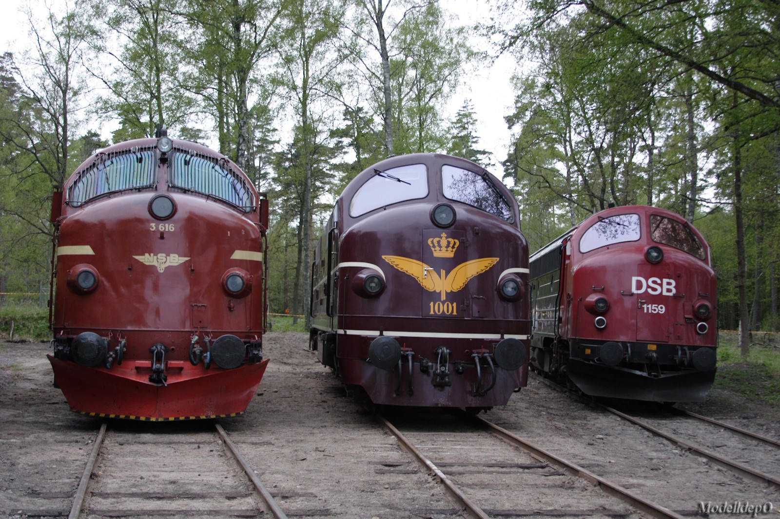 DMTT0231