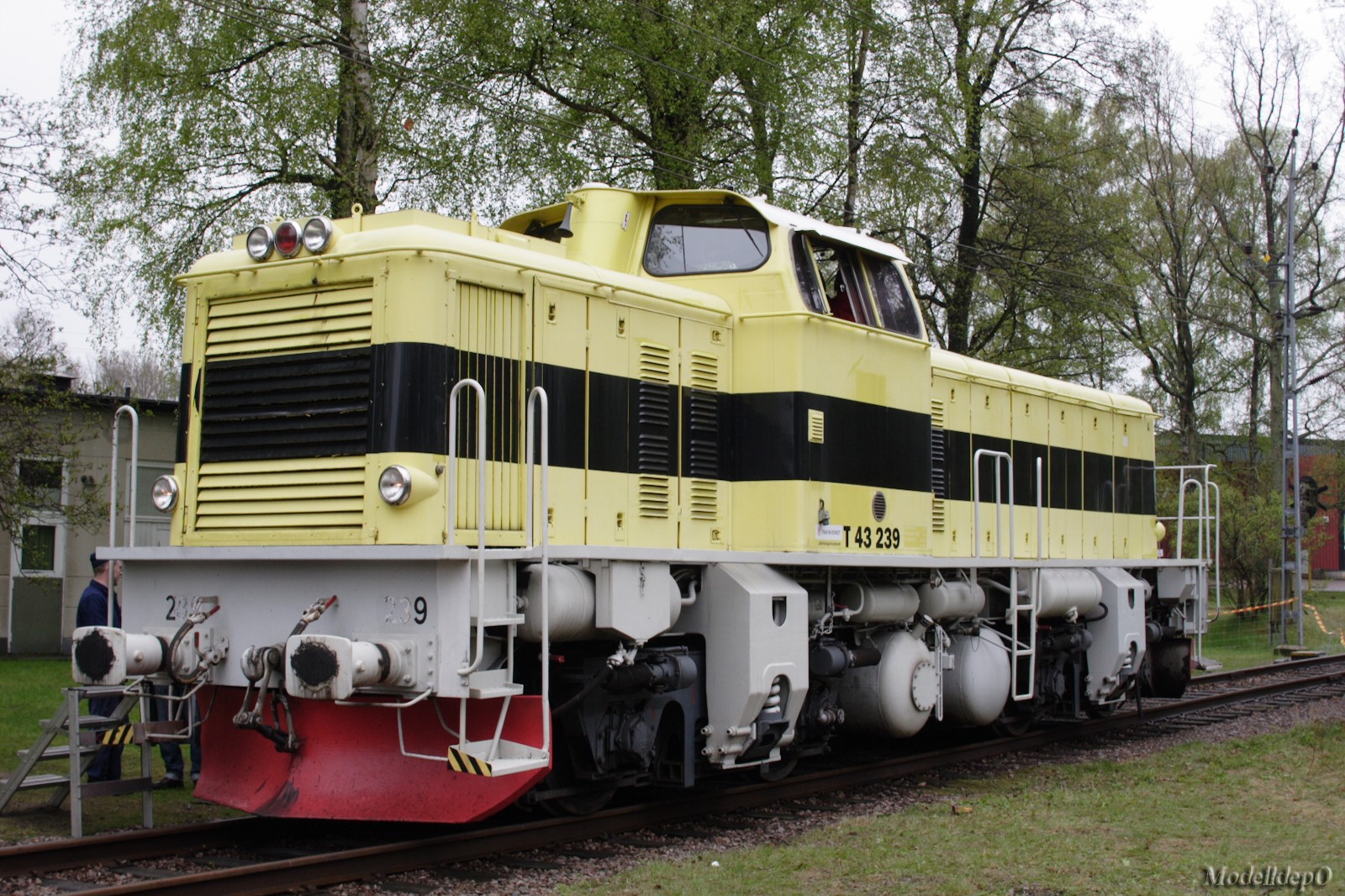 DMTT0241