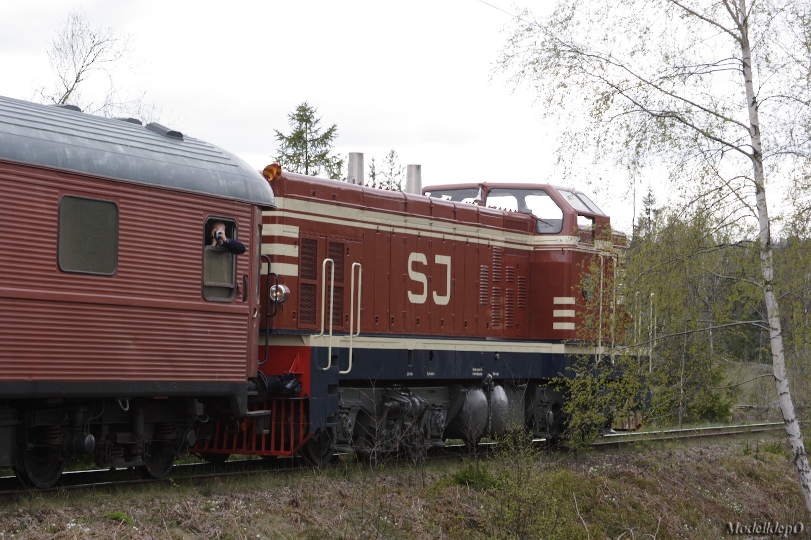 DMTT0264