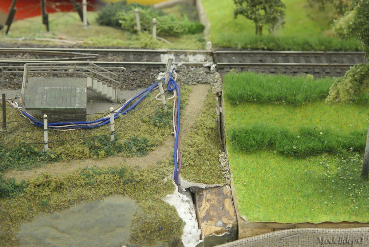 DSC01854