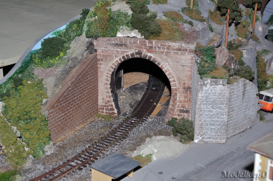 DSC_1893_1