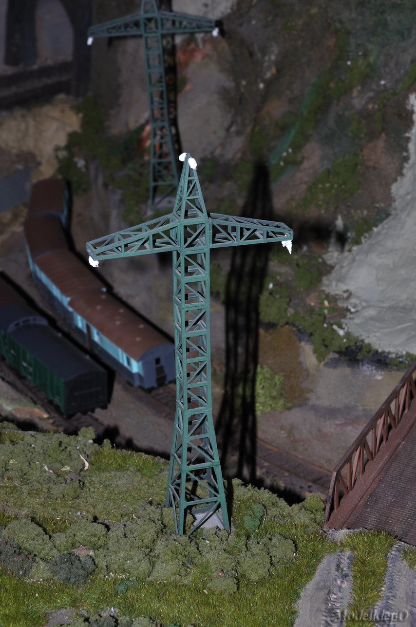 DSC_1894