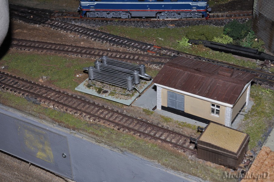 DSC_1900