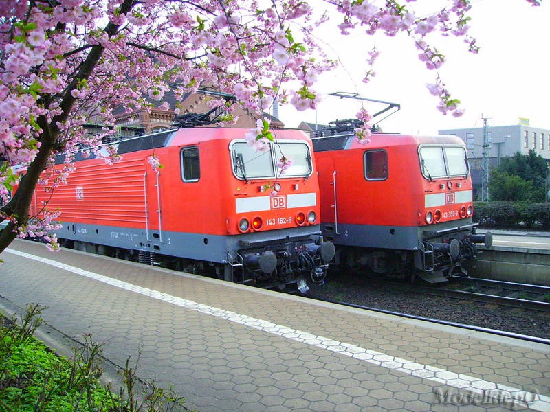 5514497