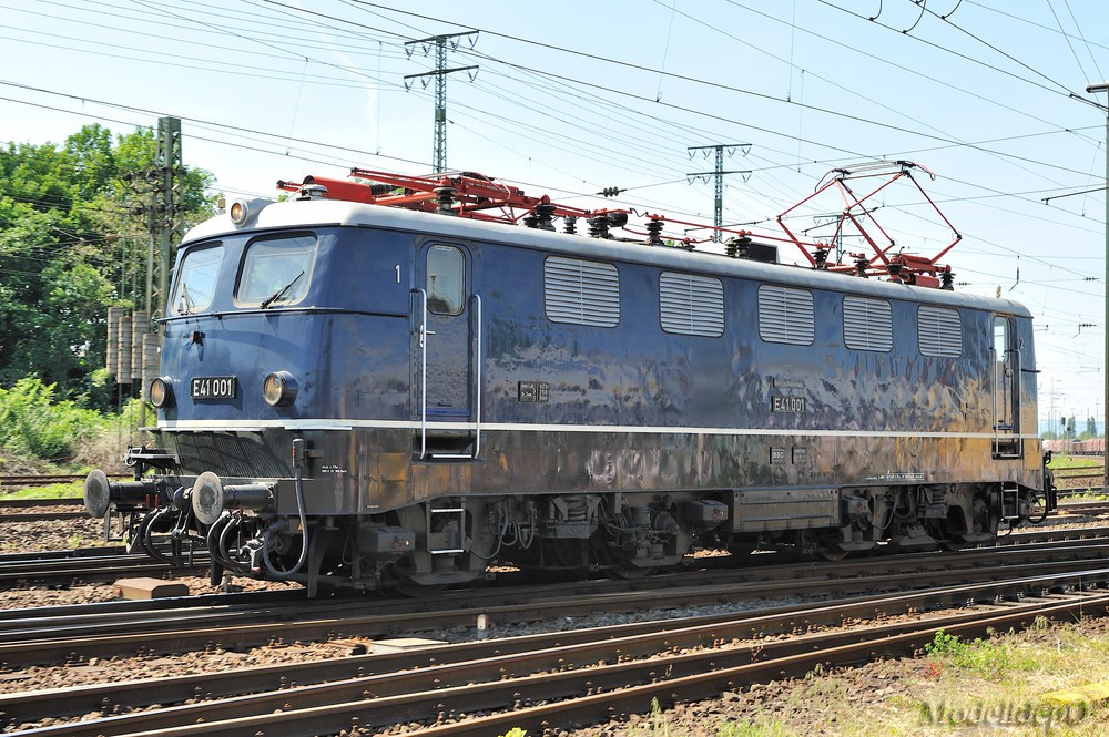 20496364