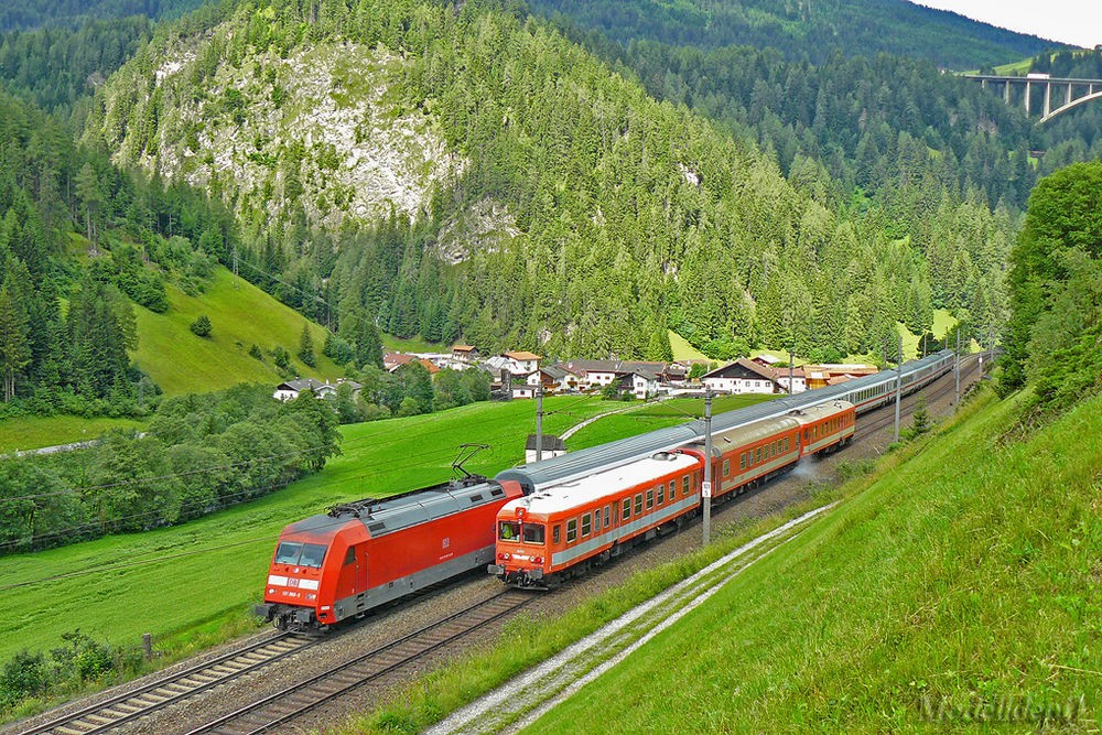 DB  MAV