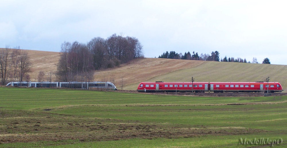5545913