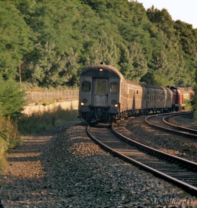 23942564