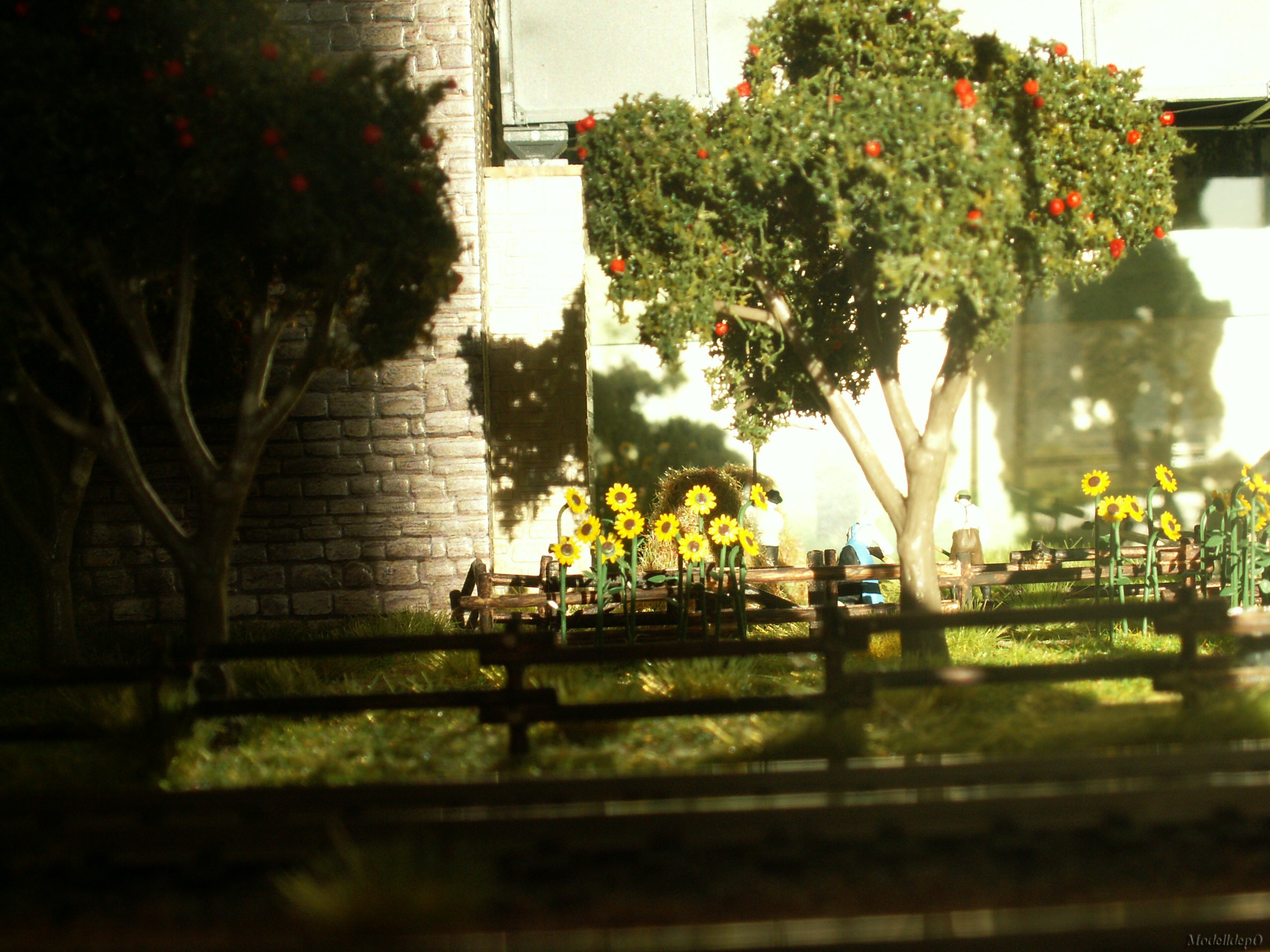 pict0023