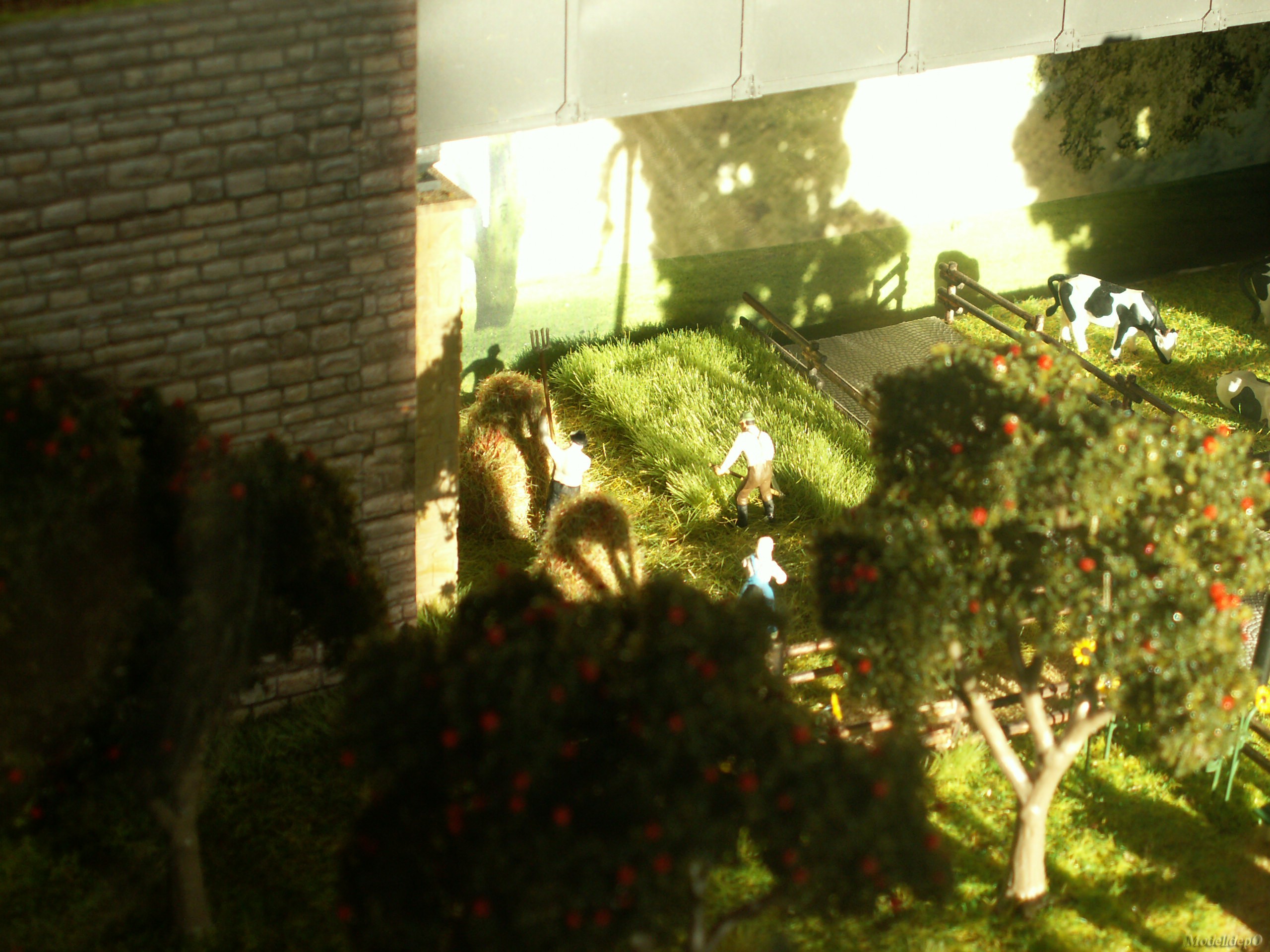 pict0024