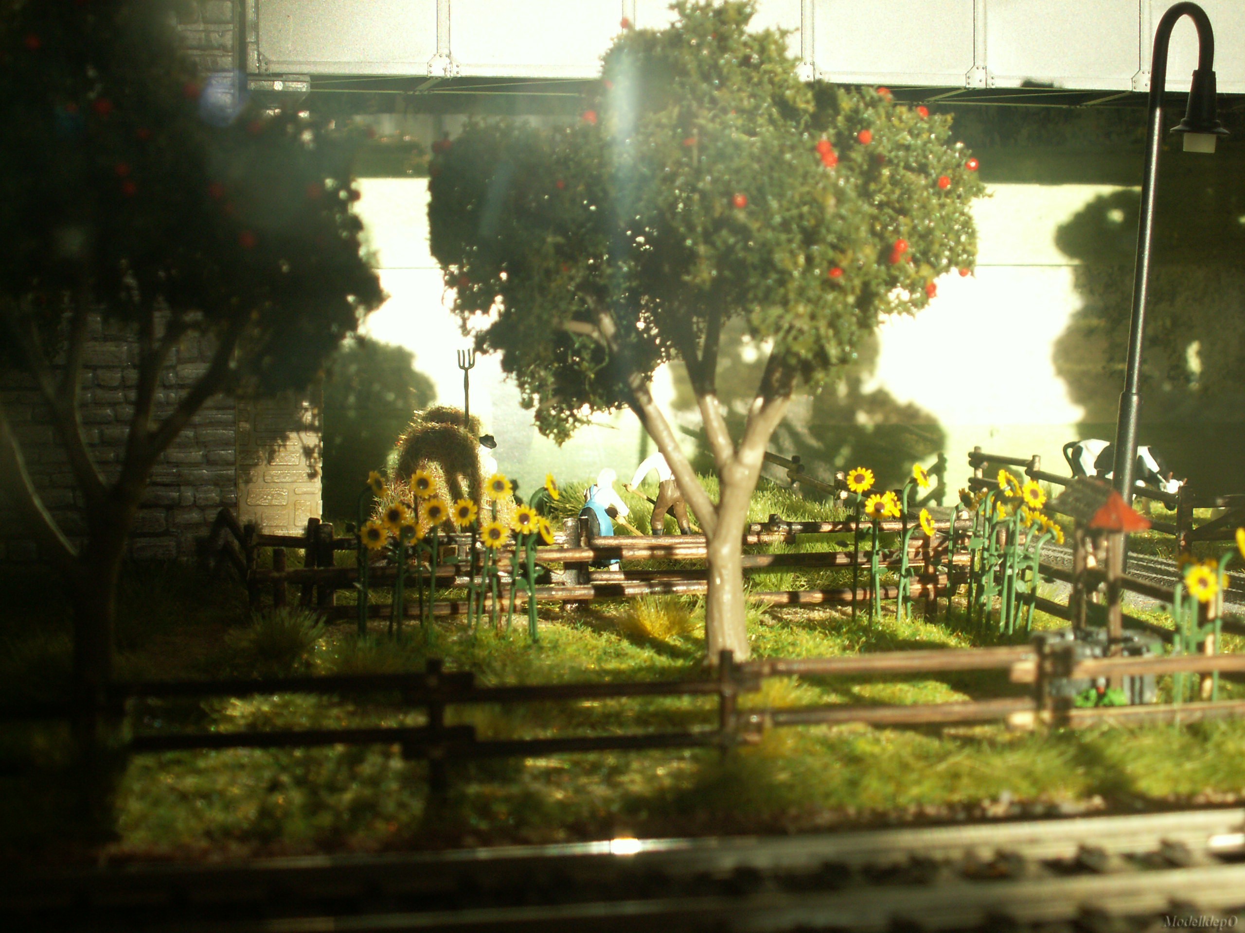 pict0025