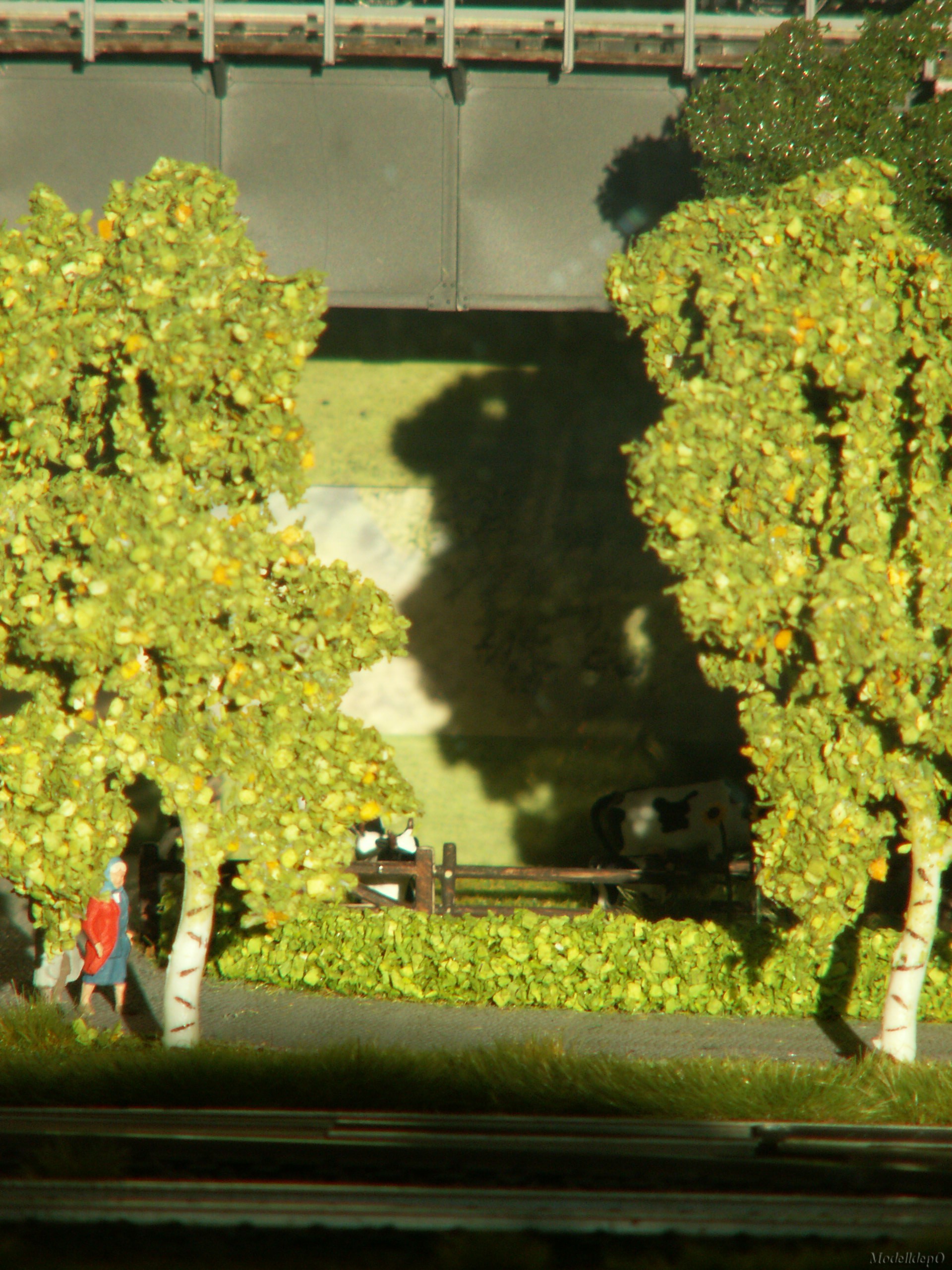 pict0027