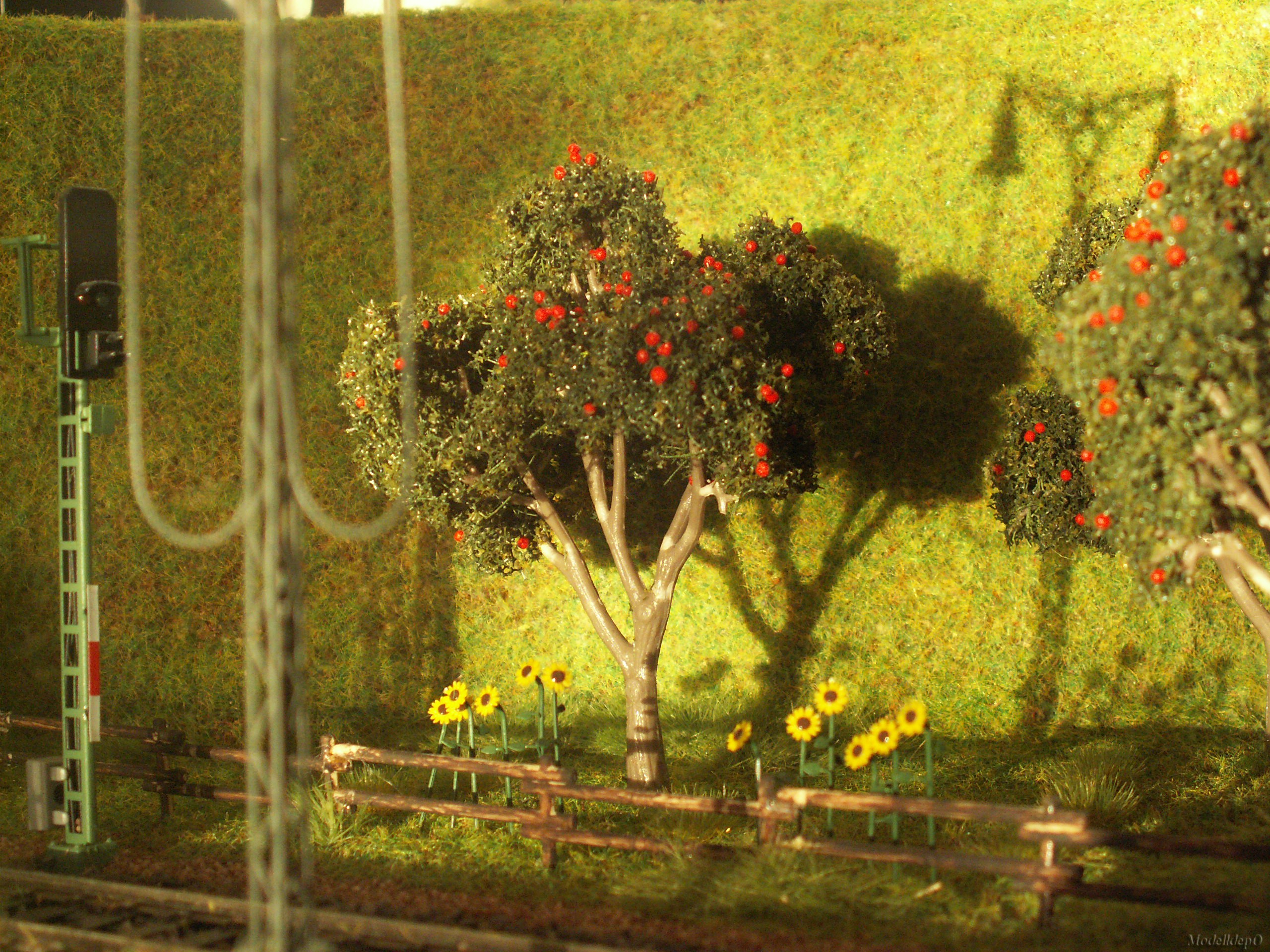 pict0031