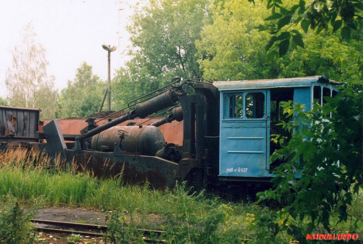 81