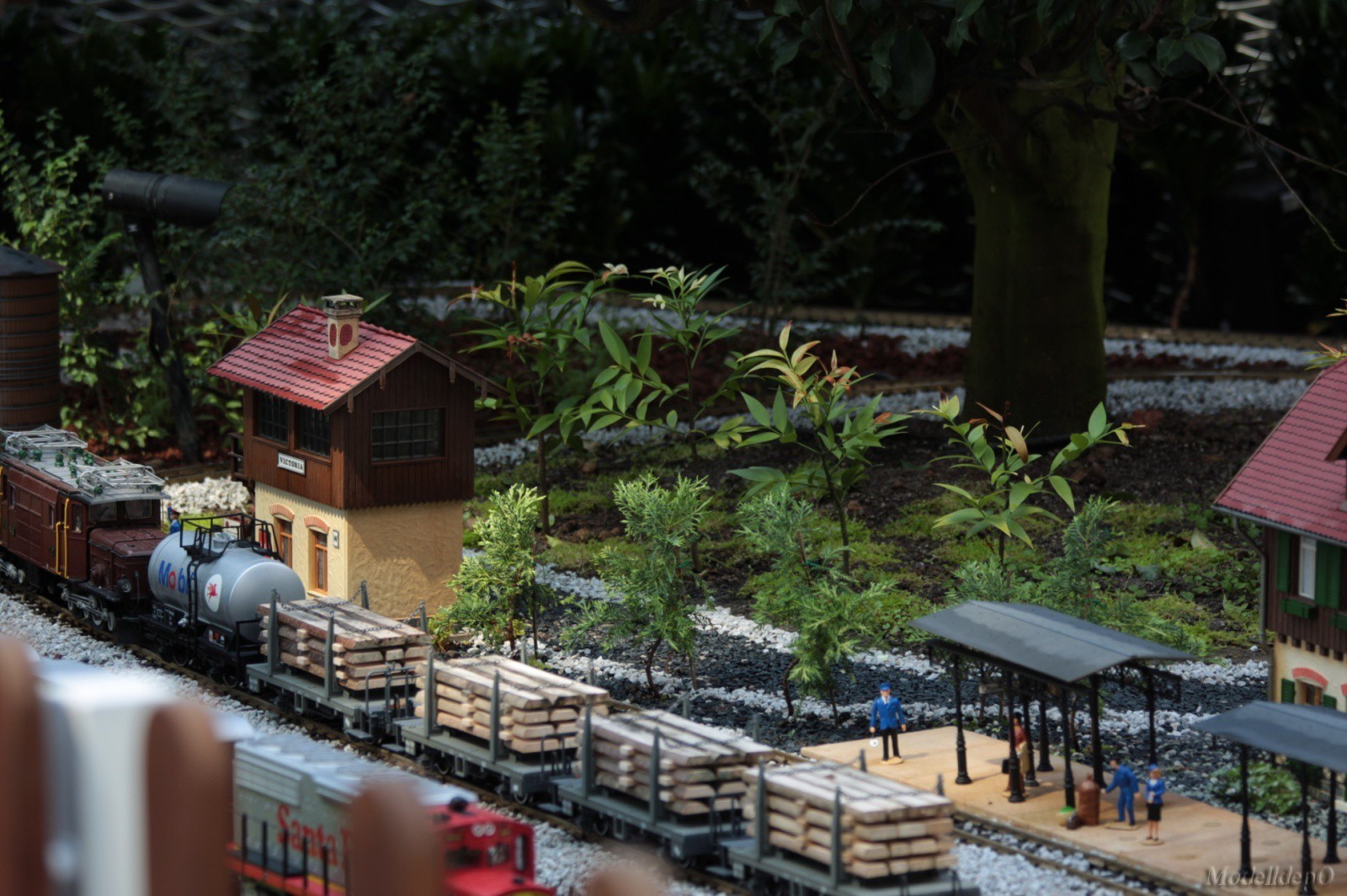 Singapore_Cloud_Forest_Railroad_2