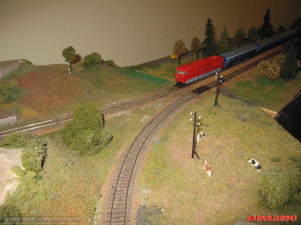 politex0868