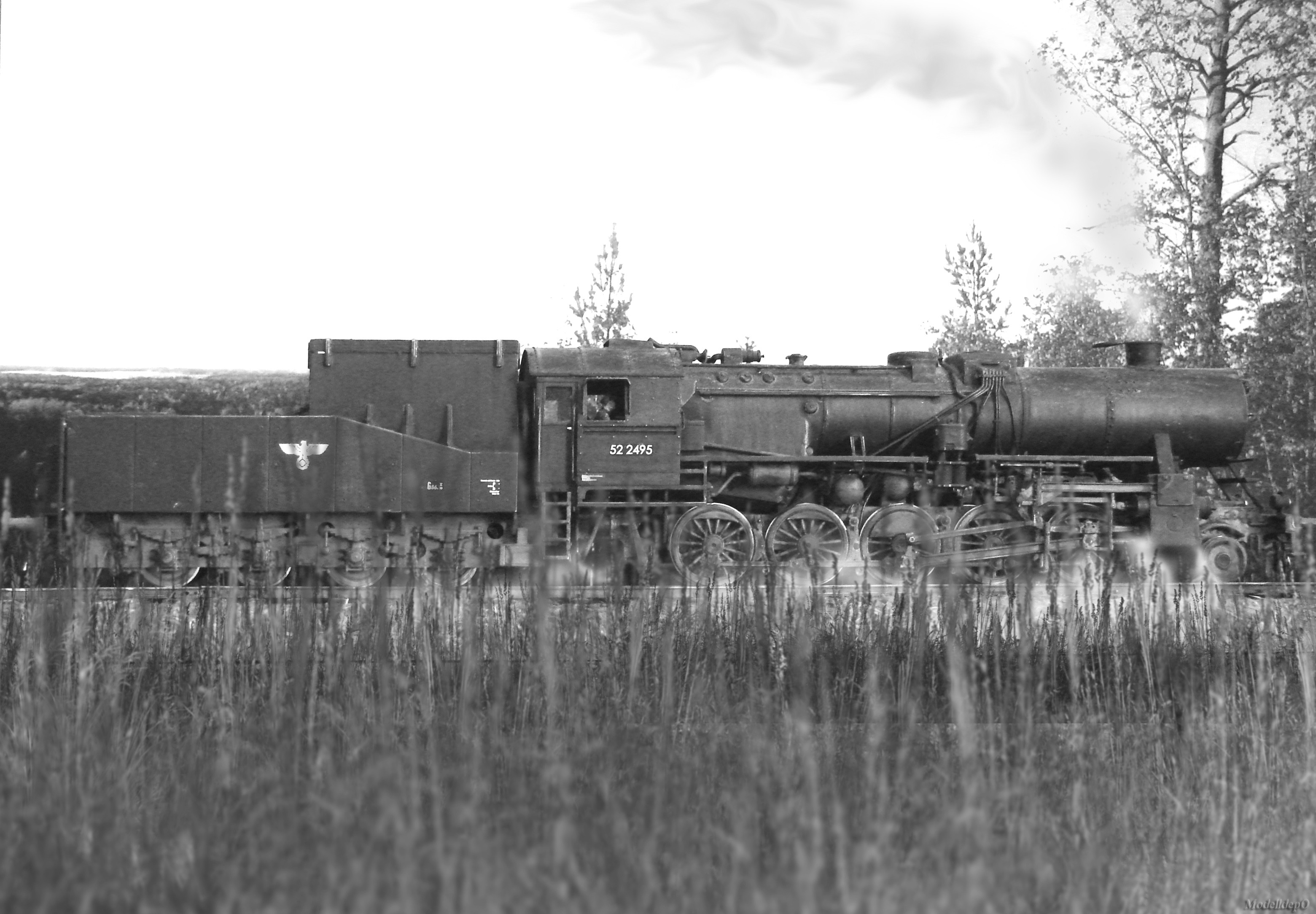 DSC06203_1a