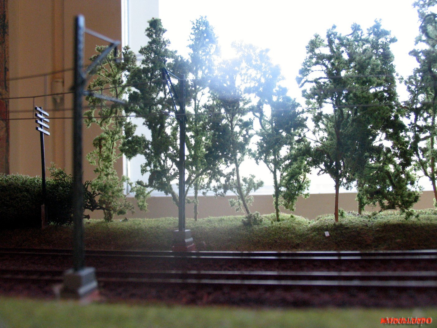 layout_203_