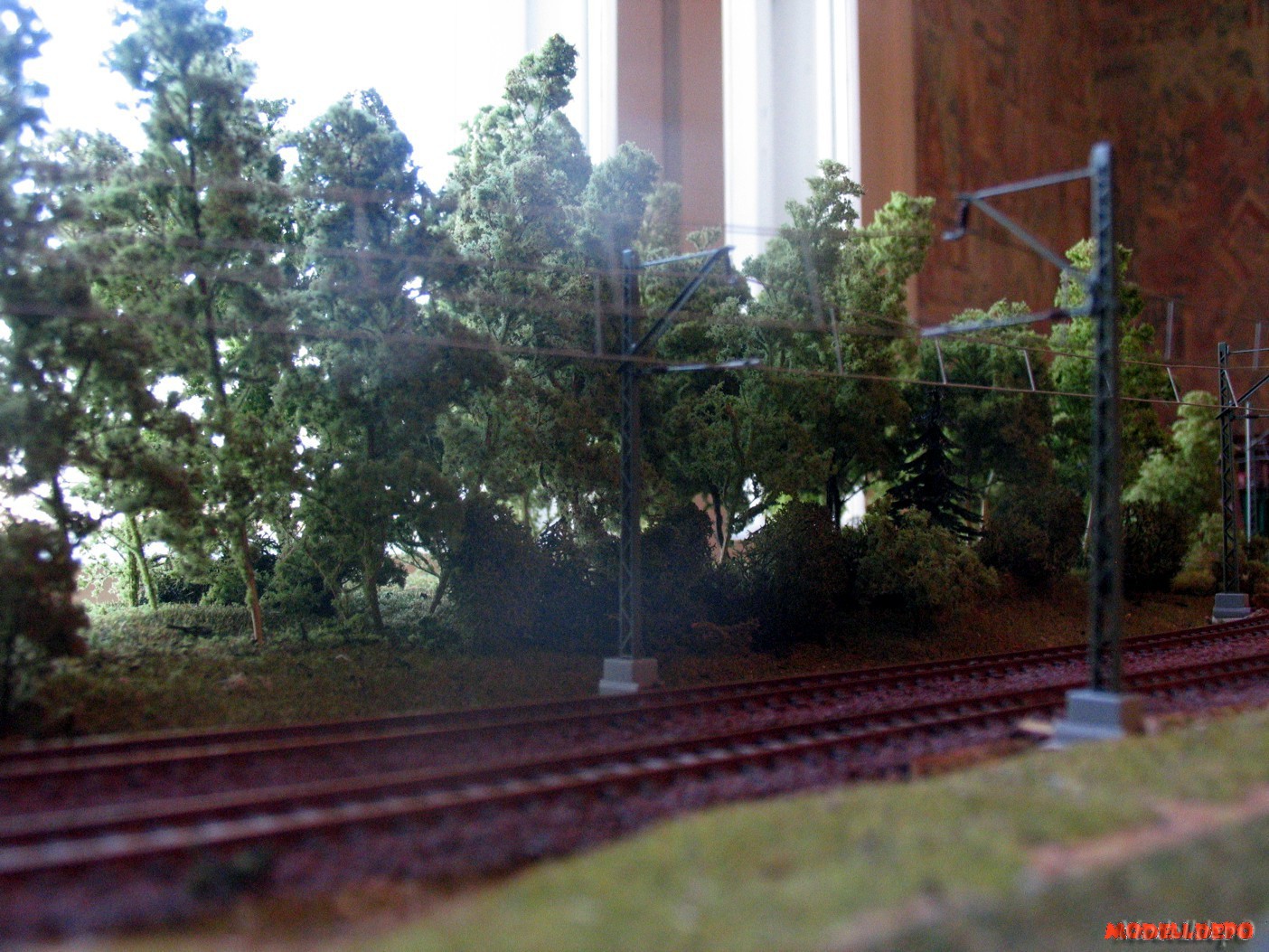 layout_204_