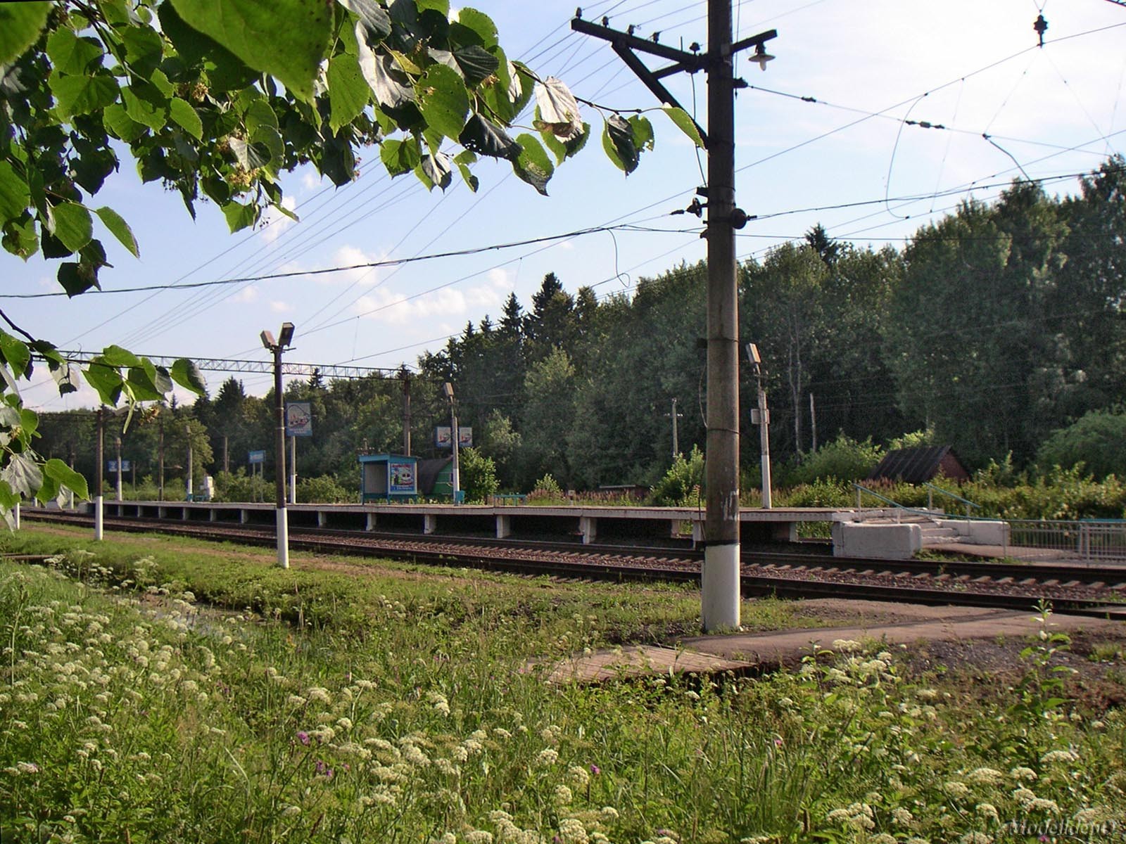 PICT0862