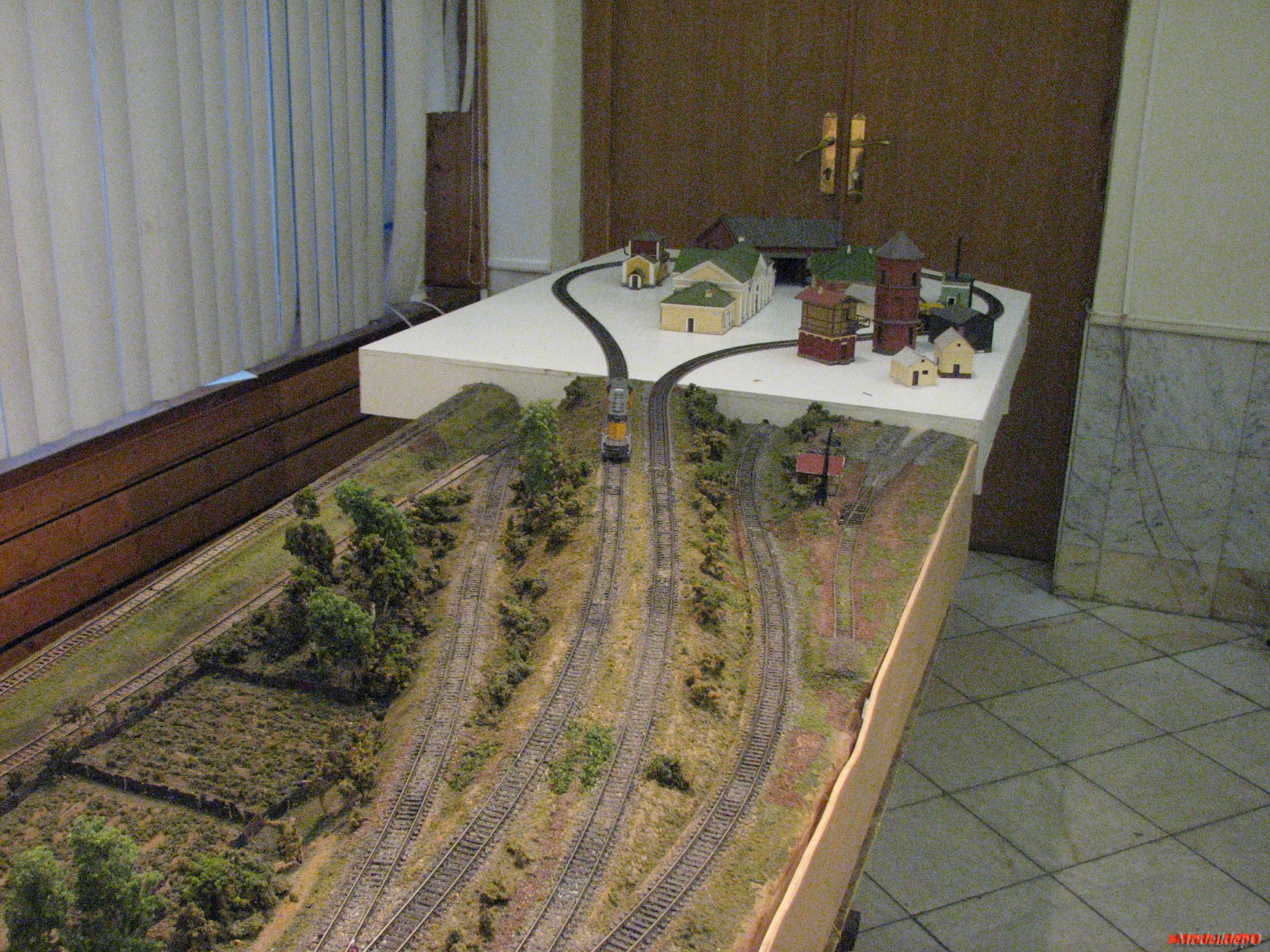 IMG_1278